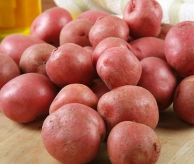 Potato